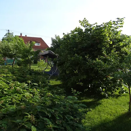 Budai Panzio Oda ve Kahvaltı 3*