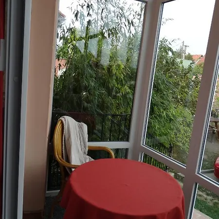 Budai Panzio Székesfehérvár