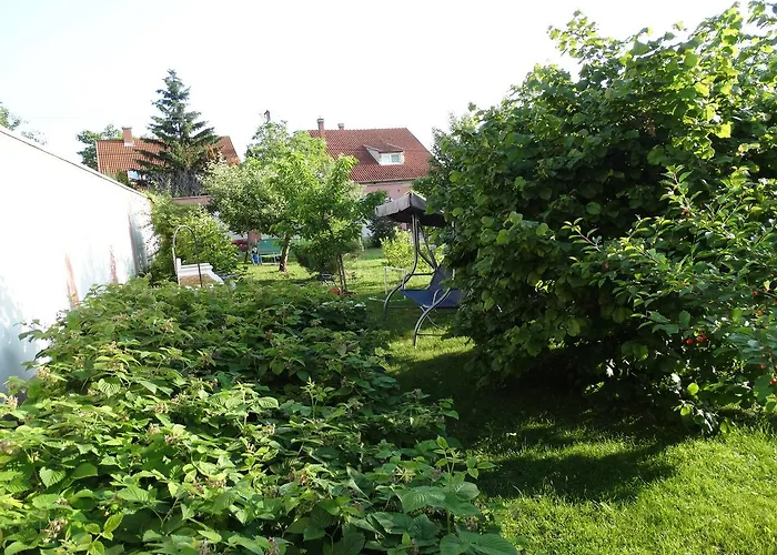 Budai Panzio 3*