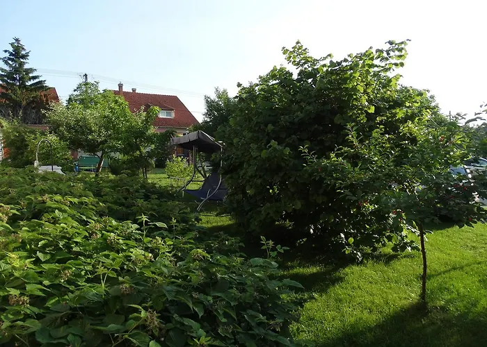 Budai Panzio Bed & Breakfast 3*